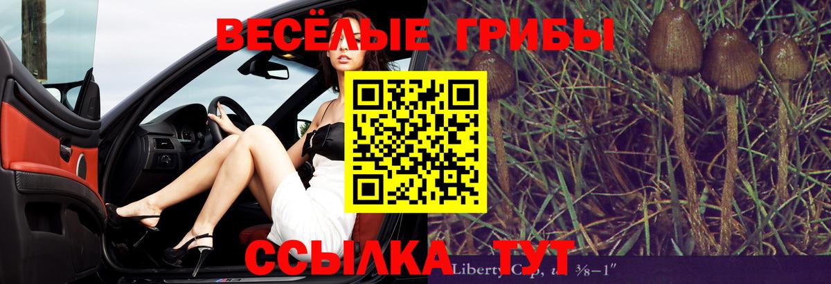 Псилоцибиновые грибы GOLDEN TEACHER Ростов Великий