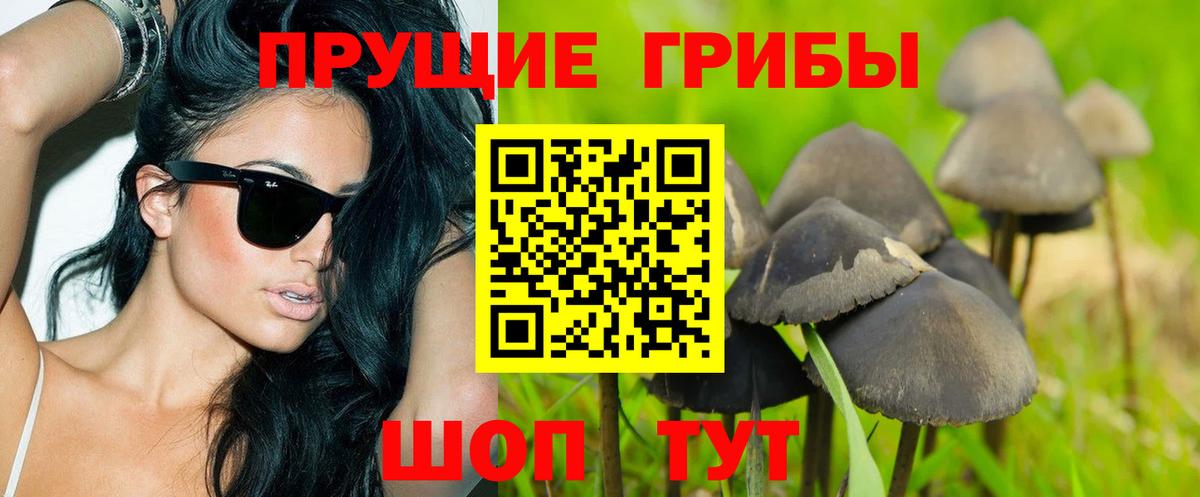Ростов Великий  Галлюциногенные грибы GOLDEN TEACHER  Вход с VPN 